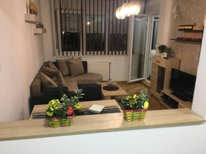 Гостиница Apartment Sinisa  Нови-Сад
